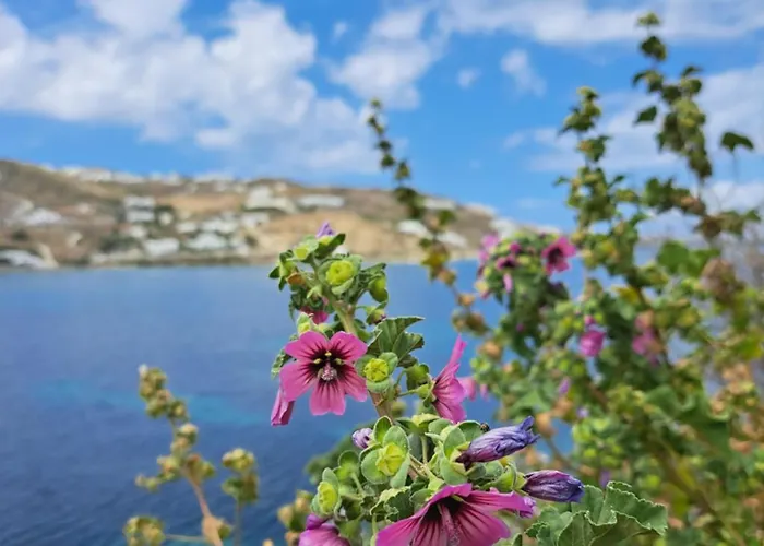 Ariadne Pool At דירה