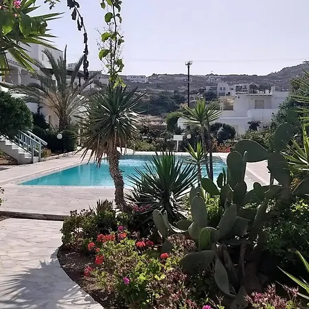 Ariadne Pool At Ornos (Mykonos)