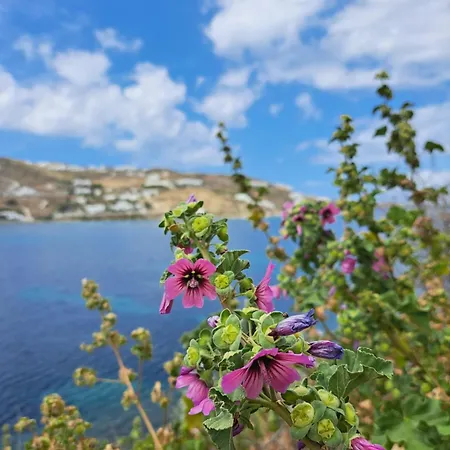 Ariadne Pool At Apartman